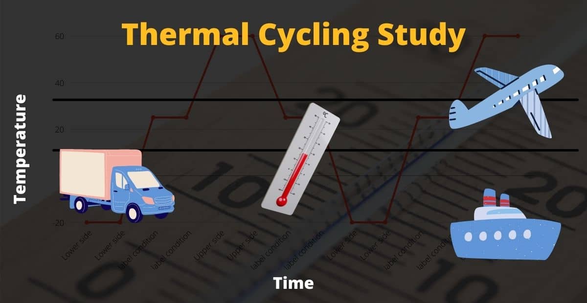 thermal cycling study