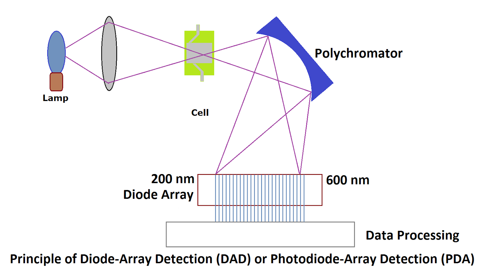 PDA Detectors (Diode Array Detector or Photo Array Diode Detector) HPLC detector